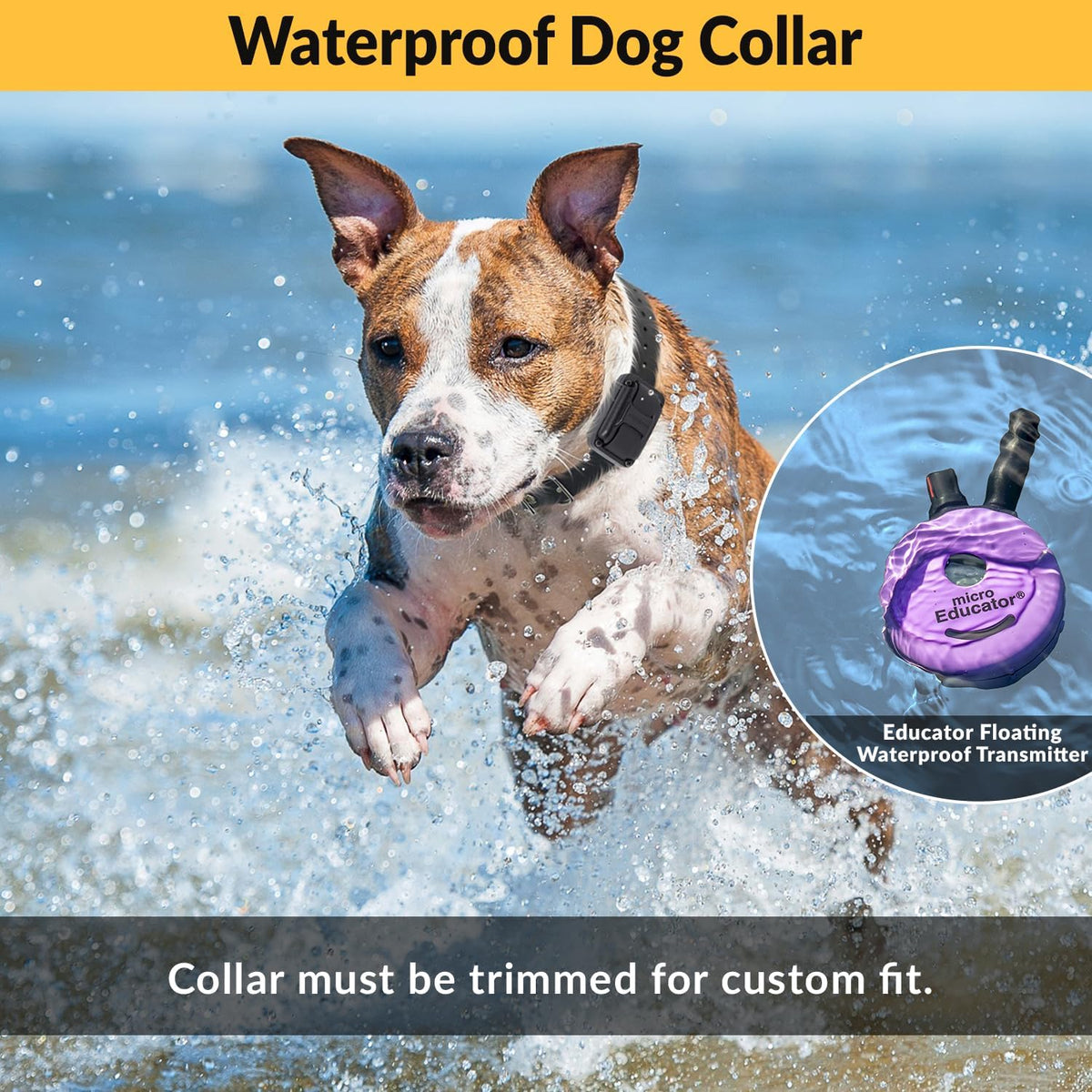 e-collar micro educator me-300 dog training collar, small showing dimensions