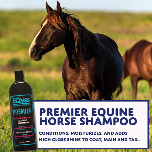(3 pack) eqyss premier equine horse shampoo shown in use