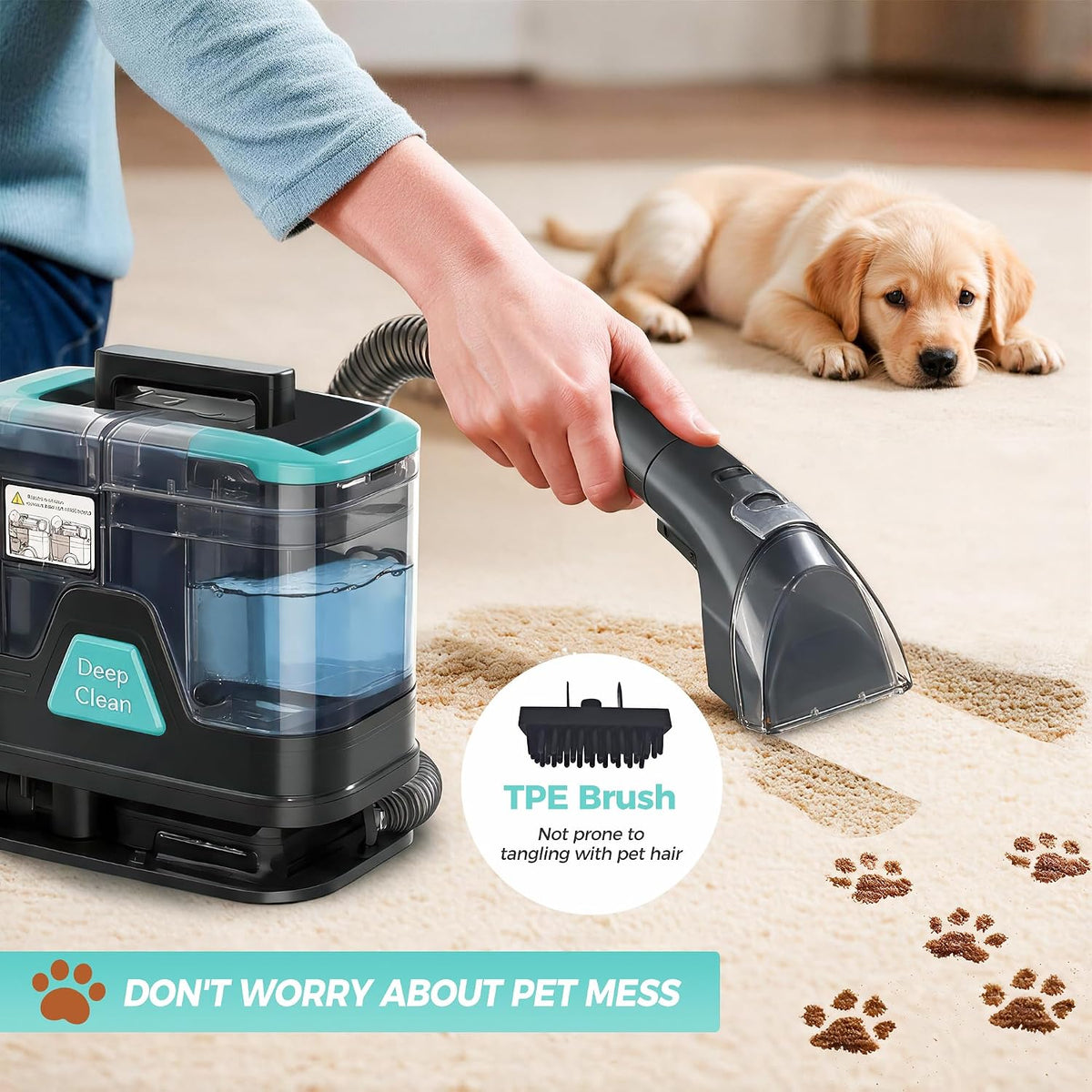 portable carpet cleaner machine,18kpa,handheld,mini,spot extractor for pet showing dimensions
