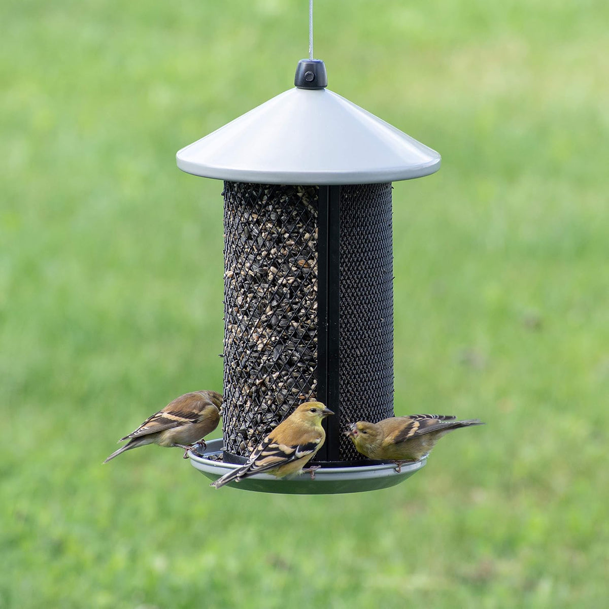 perky-pet dual mesh wild bird seed feeder shown in use