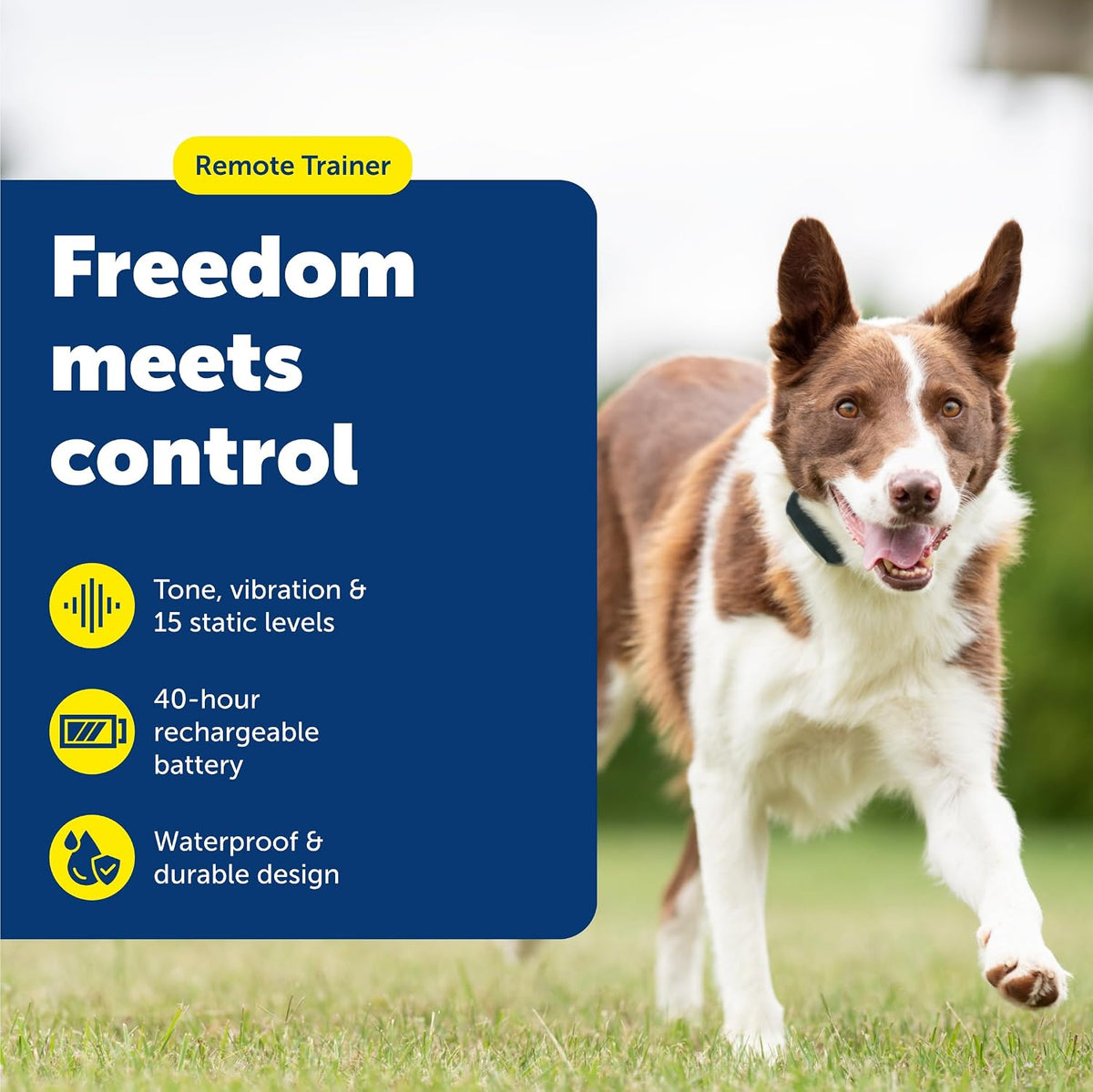 petsafe 100 yard remote trainer, rechargeable, waterproof, tone shown in use