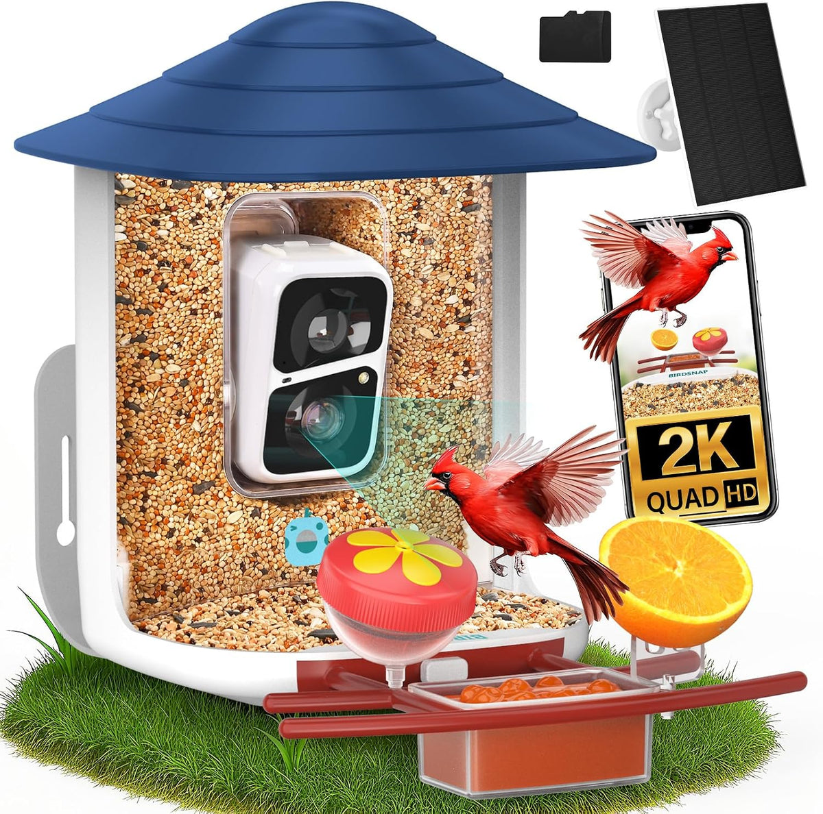 birdsnap® tuc bird feeder with camera solar powered, main product view