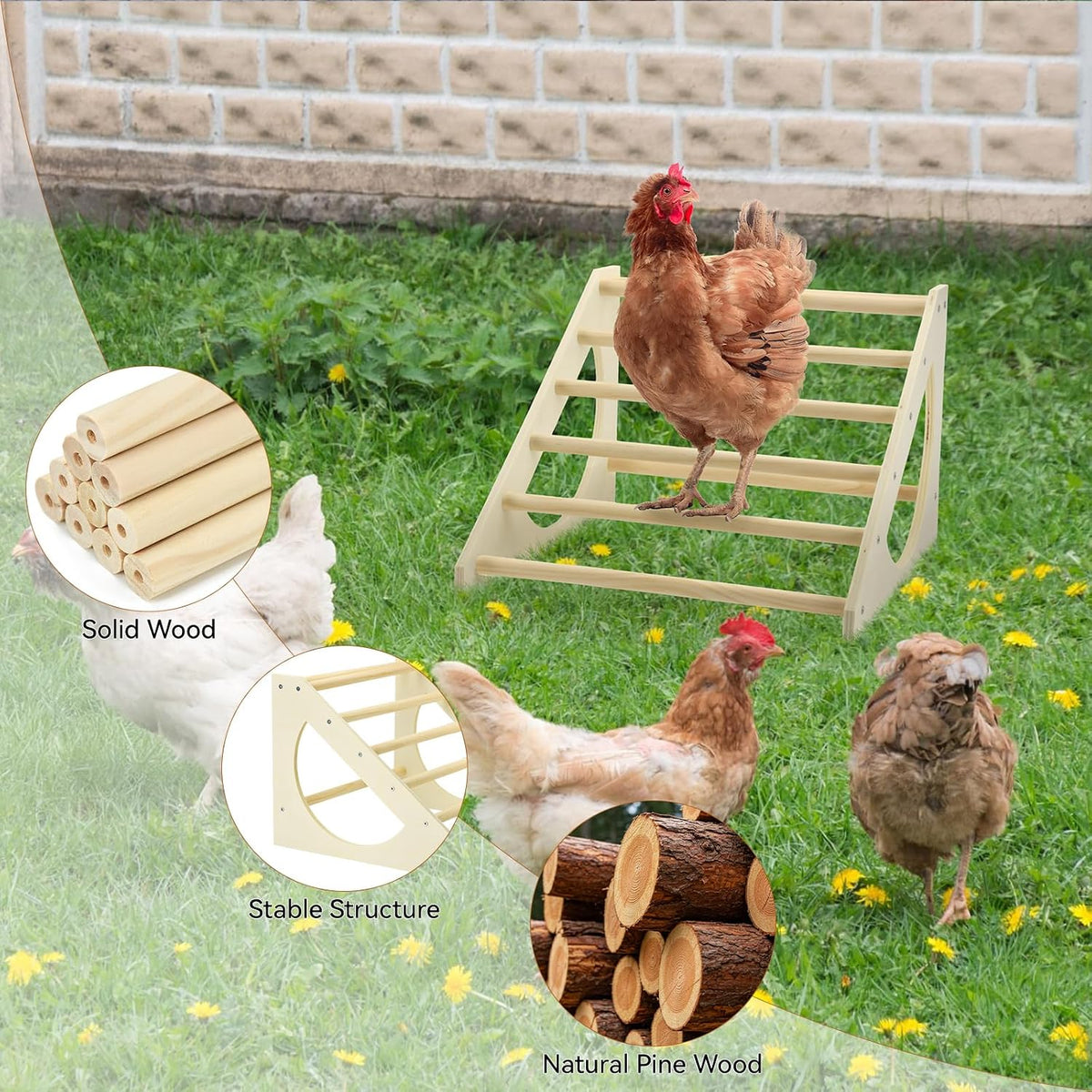 chicken roosting bar solid wood roosting ladder poultry shown in use