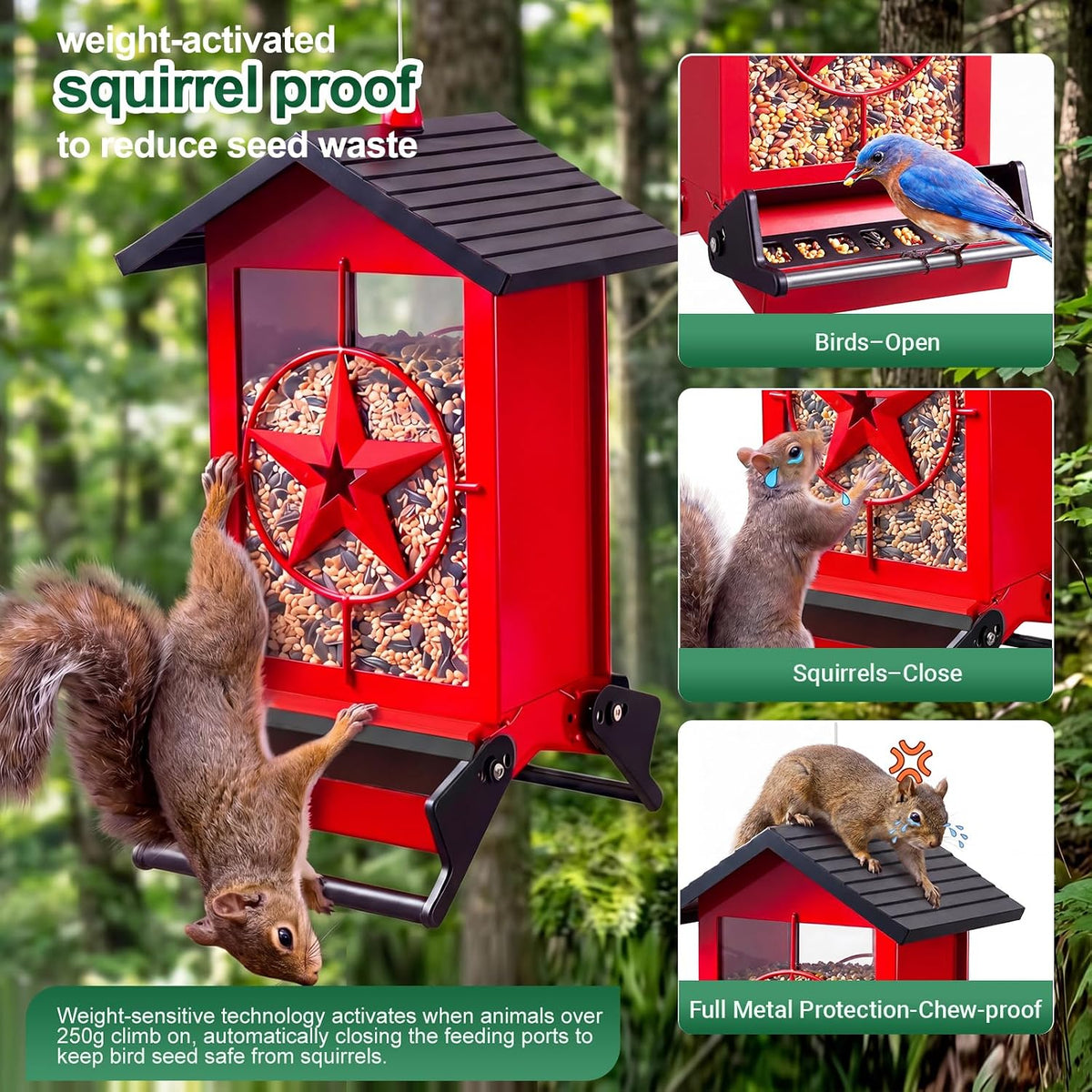 squirrel proof bird feeder for outdoor, 5 lb shown in use