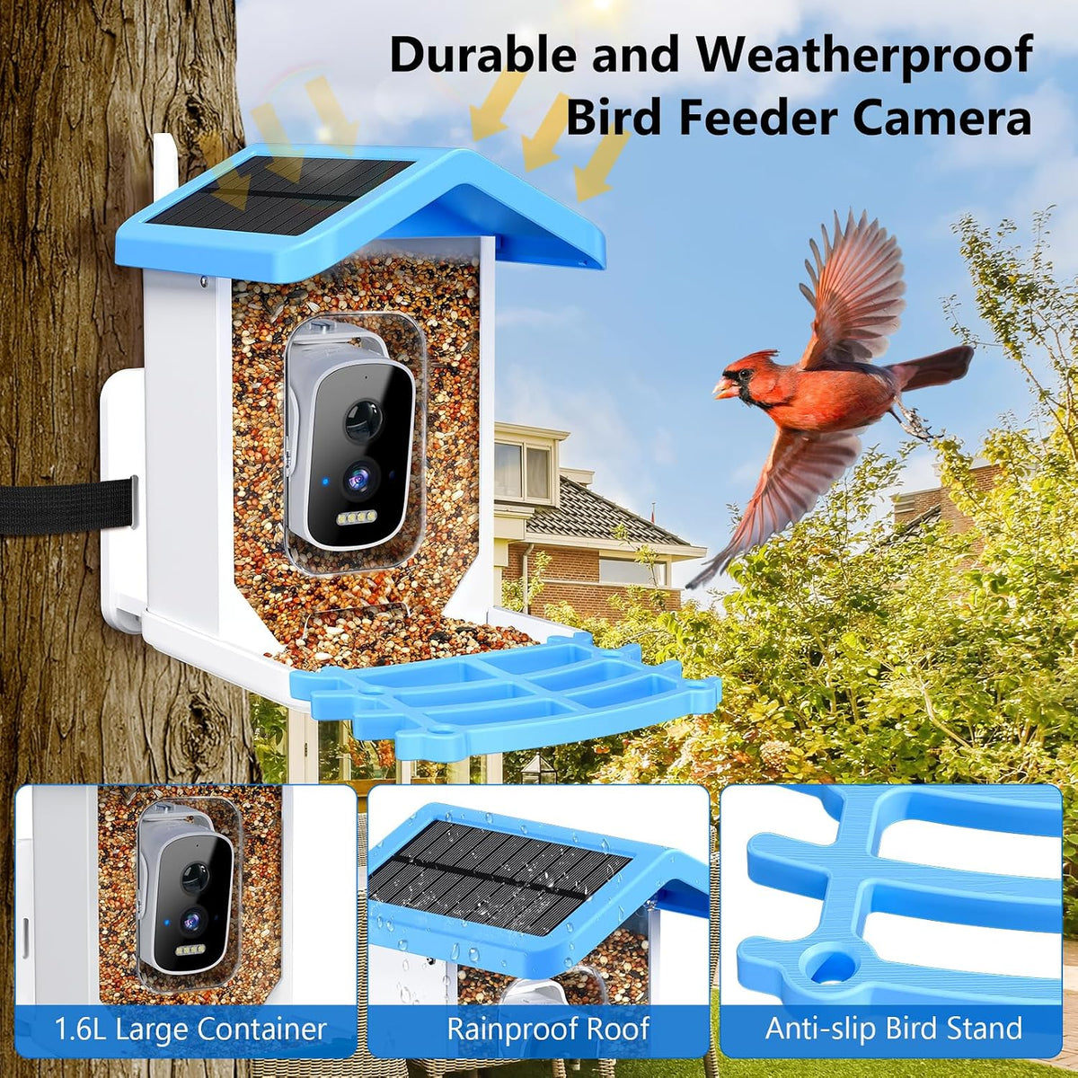 smart bird feeder with camera, ai bird species, close-up detail