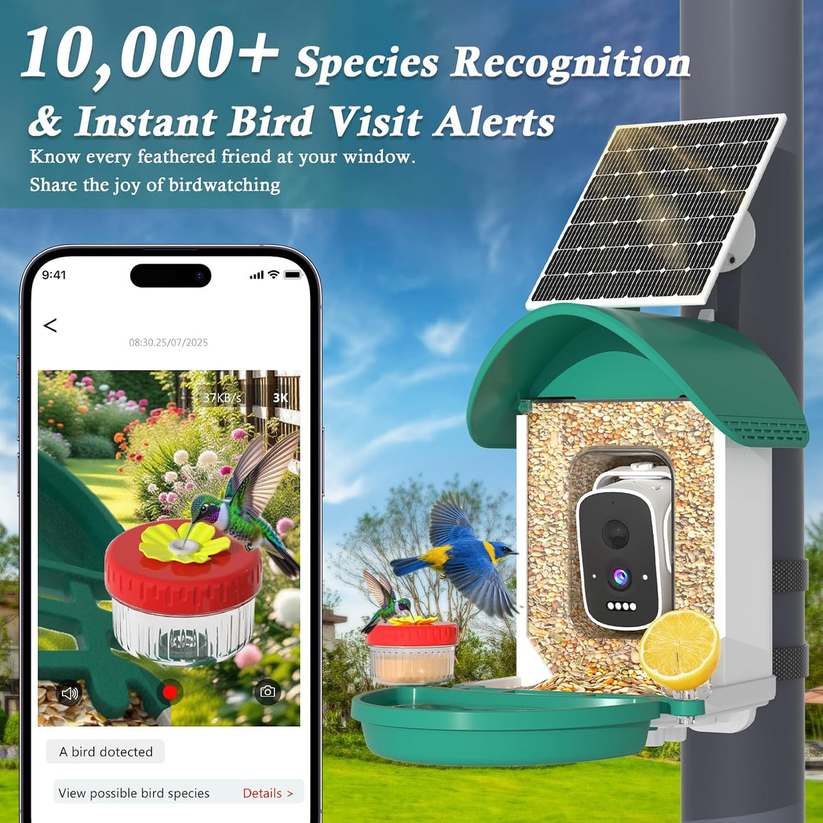 3k smart bird feeder with camera, ai bird, close-up detail