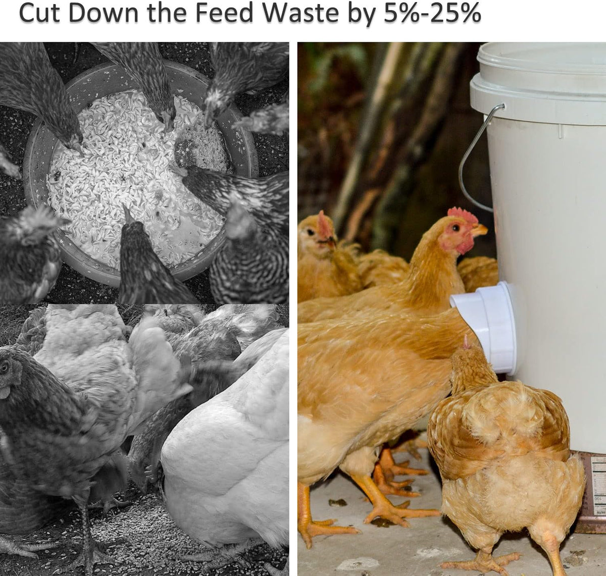 automatic chicken feeder chicken feed container hanging chicken, side view