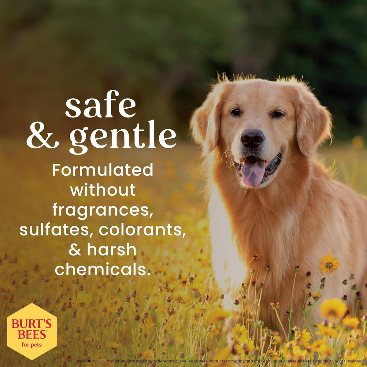burts bees for pets hypoallergenic dog shampoo, 16 showing dimensions