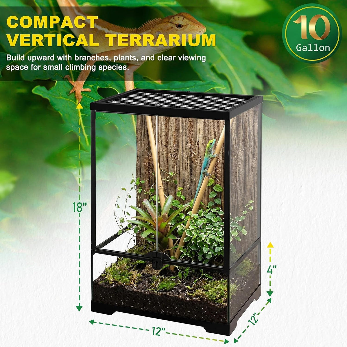 12"x12"x18" reptile terrarium, aluminum-frame glass vivarium for small shown in use