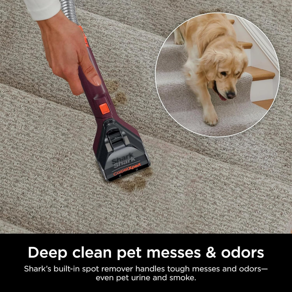 shark ex150 carpetxpert, upright carpet, area rug & showing dimensions