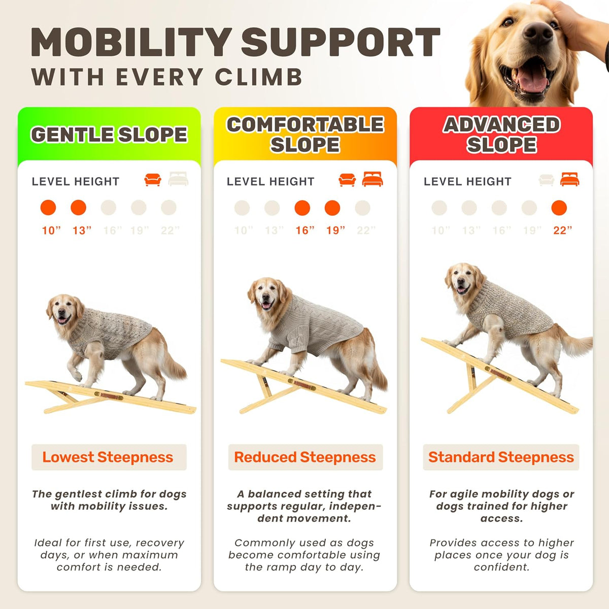 foldable dog ramp for couch - portable dog, close-up detail
