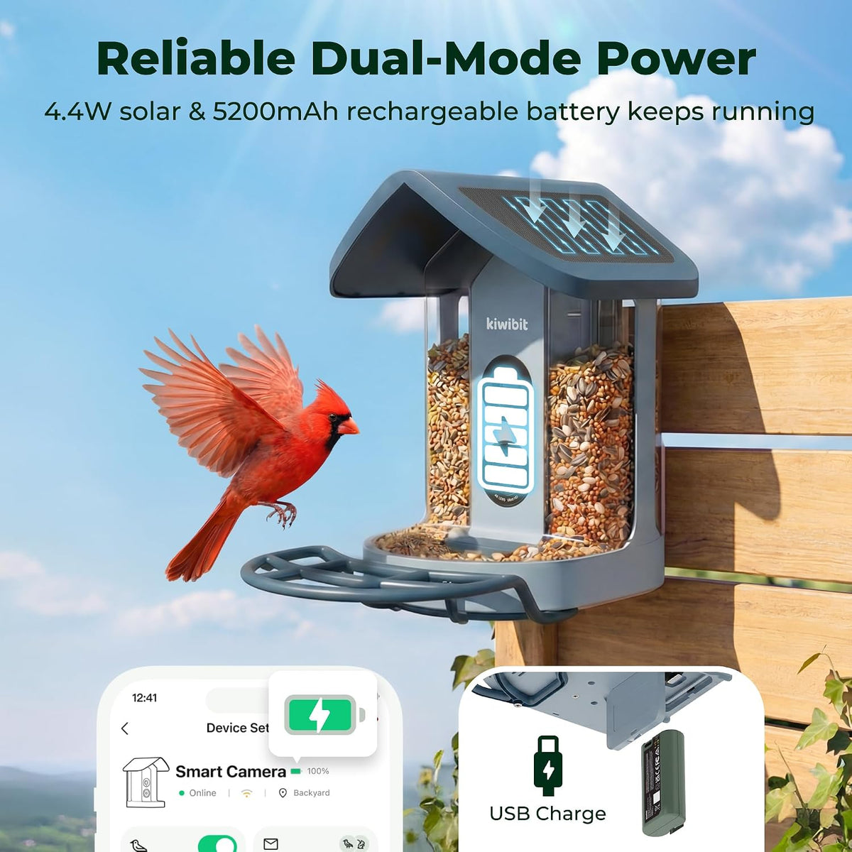 kiwibit solar smart bird feeder with camera, 4k, close-up detail