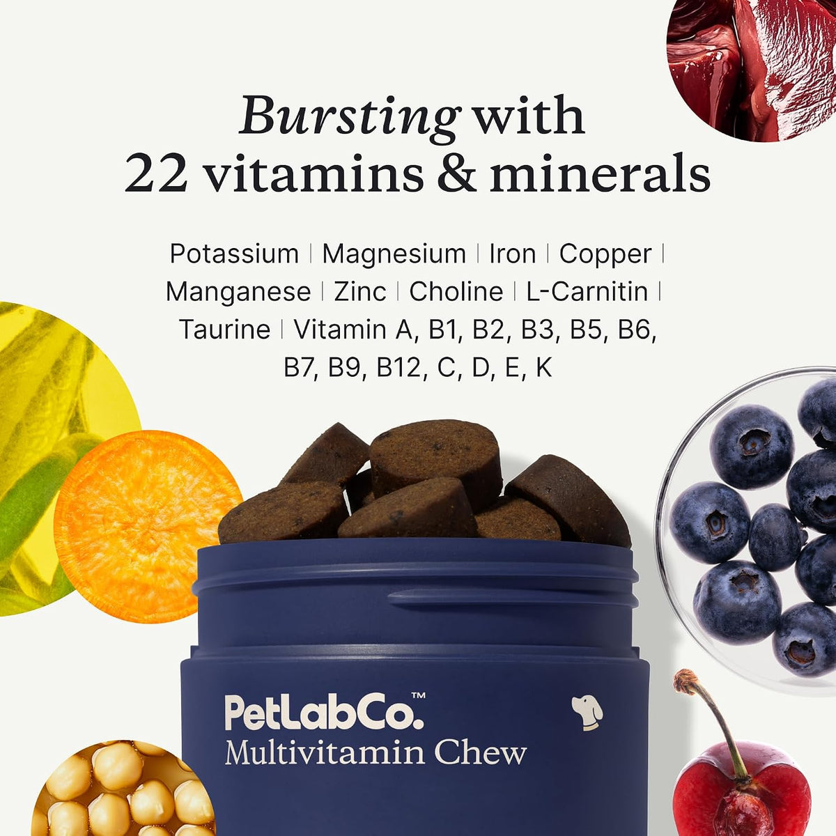 petlab co. – mobility & wellness bundle: soft, close-up detail