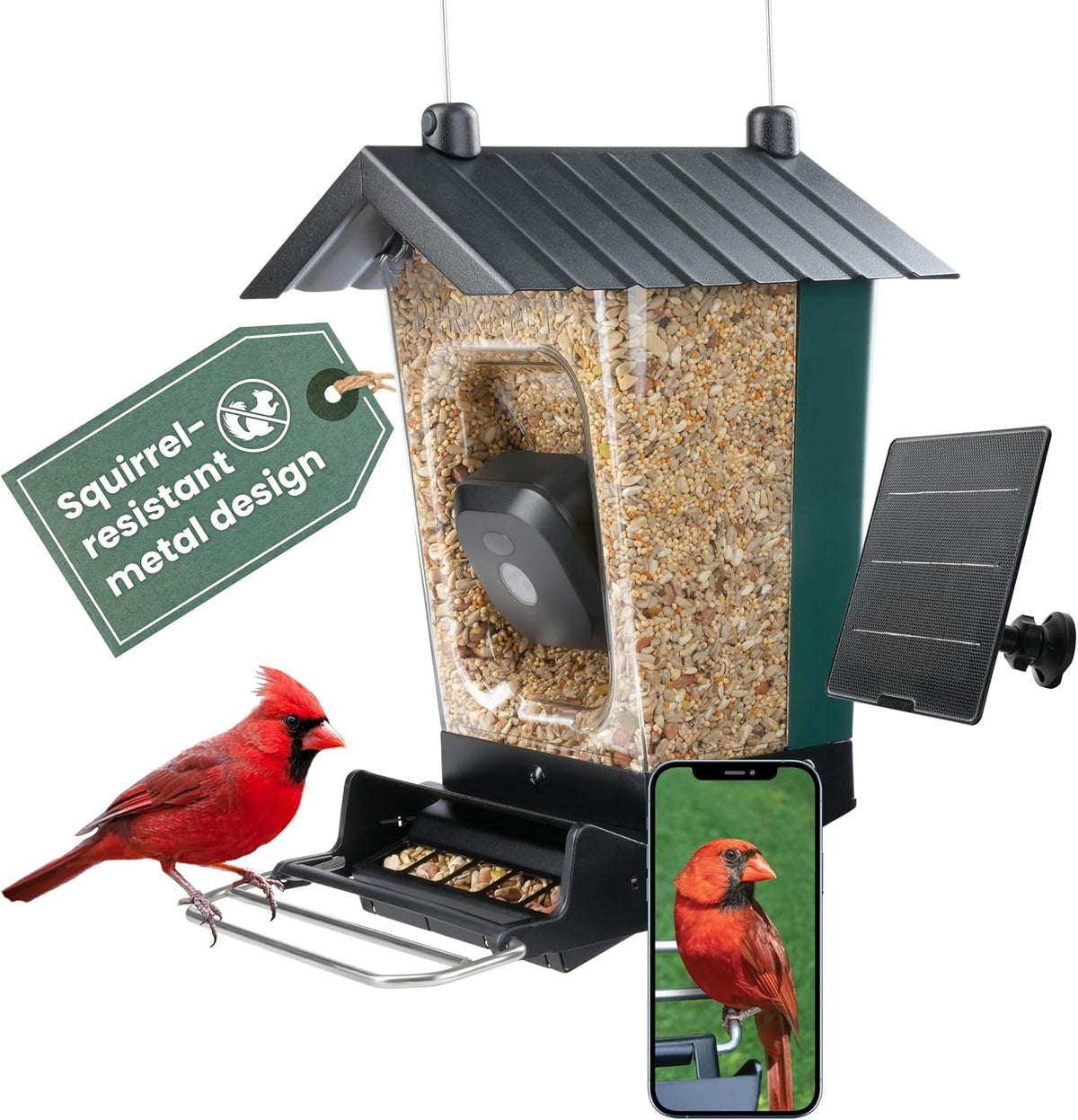 perky-pet solar powered smart bird feeder with camera, main product view