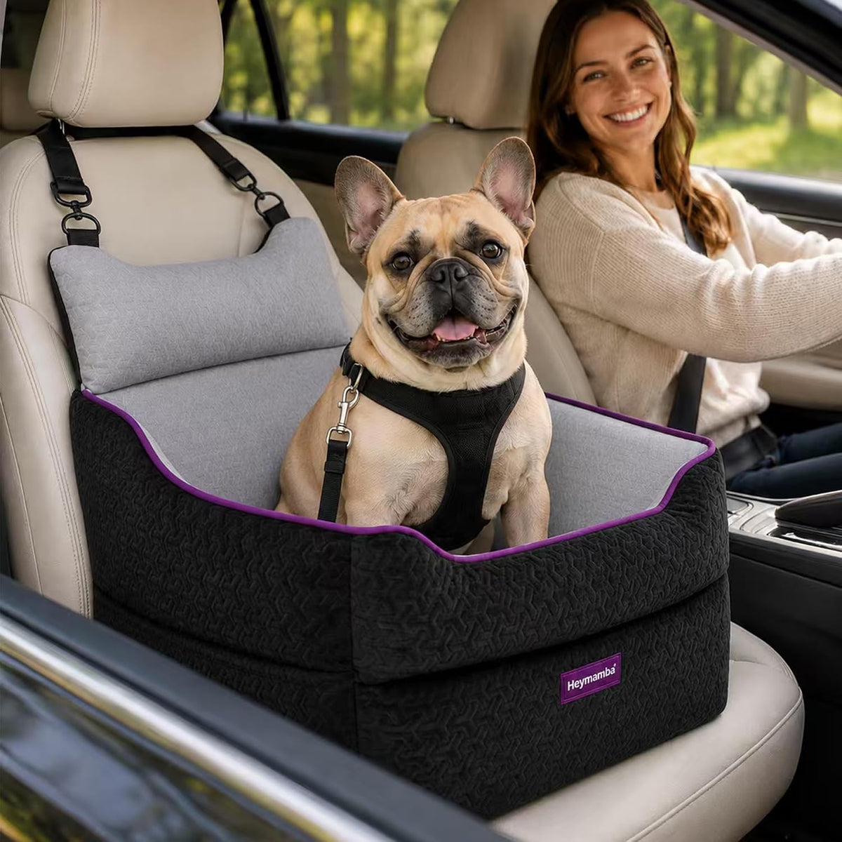 elevated dog car seat, dog booster car seat, main product view