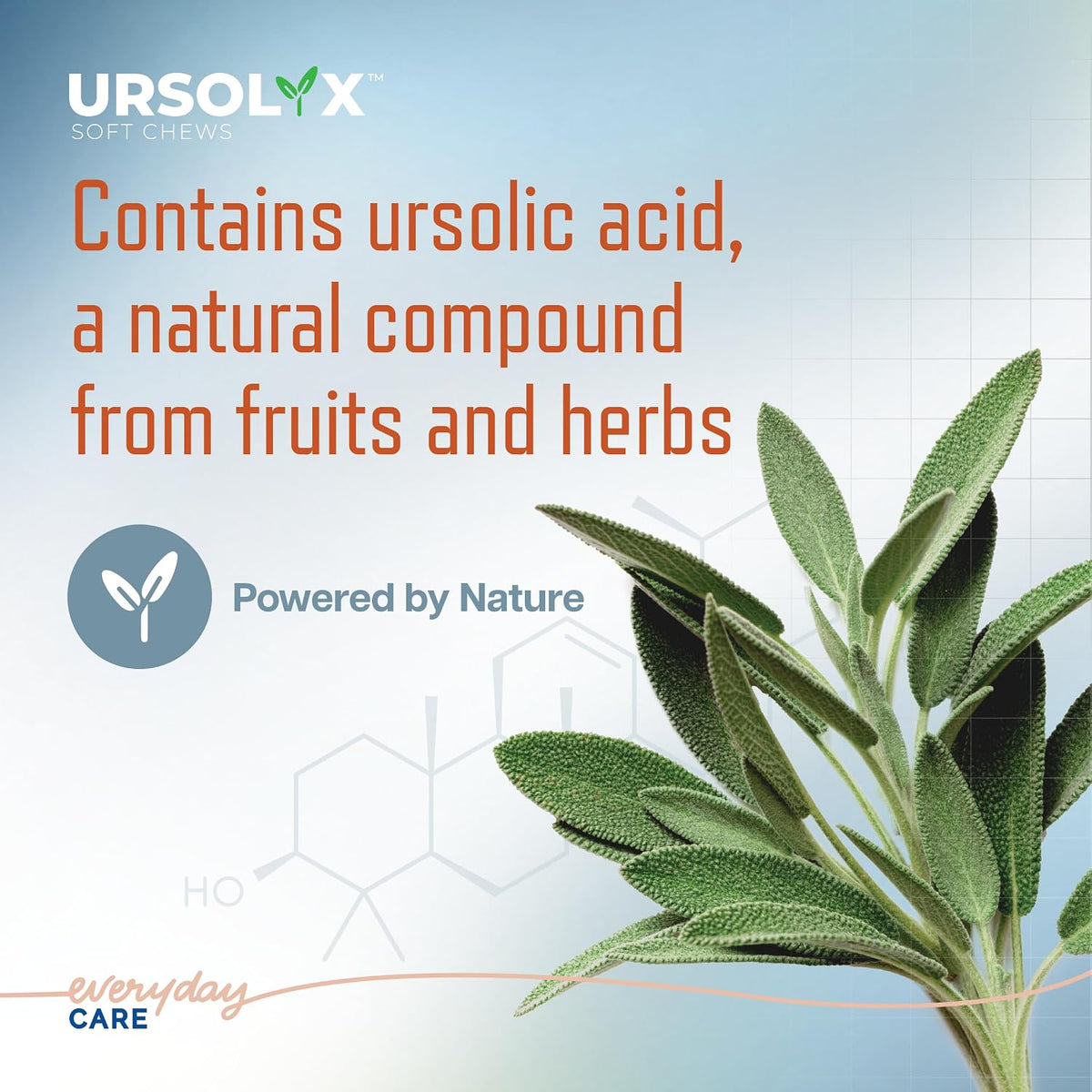 virbac ursolyx soft chews for dogs | muscle, close-up detail