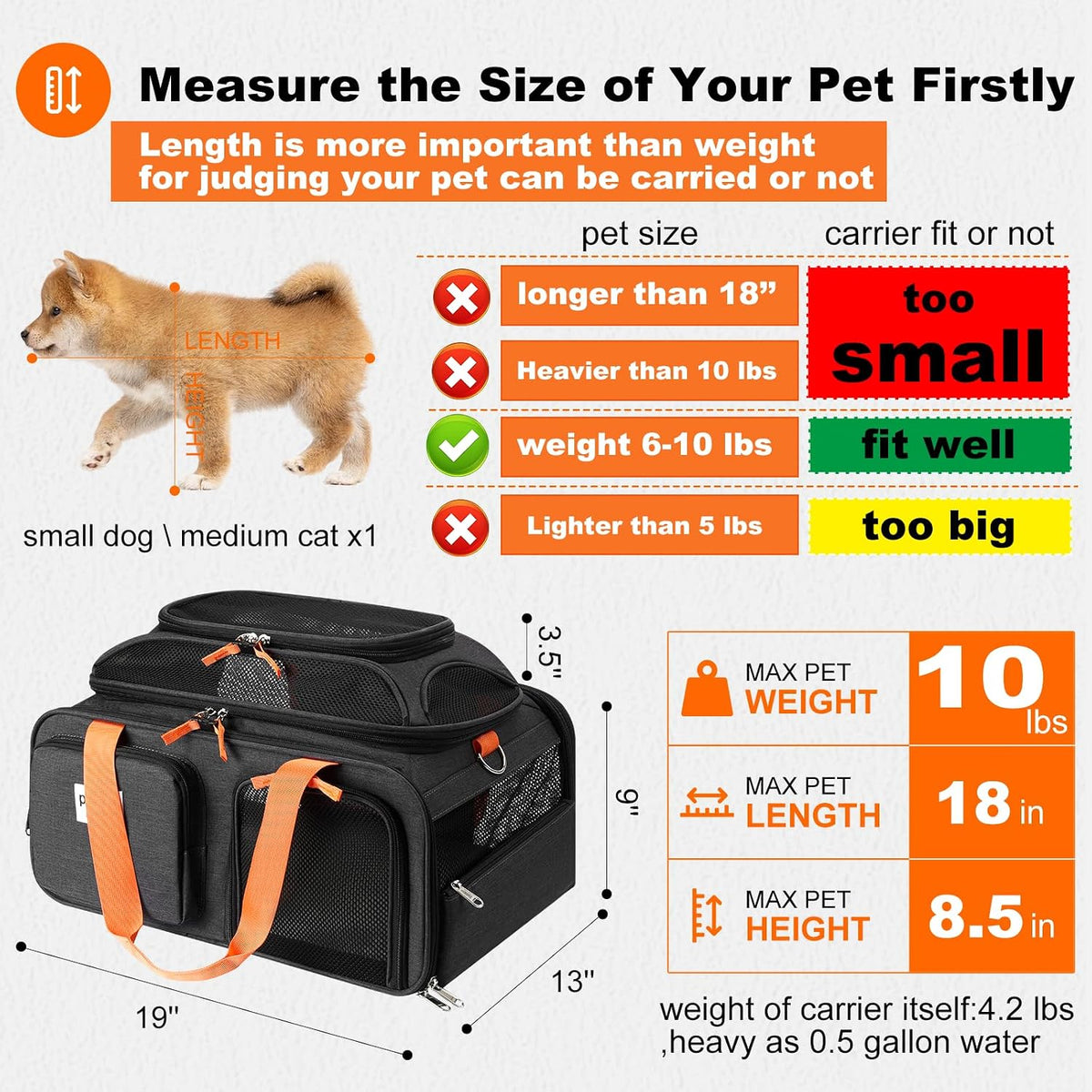 pidipiti 19x13x9 top expandable pet carrier, for small shown in use