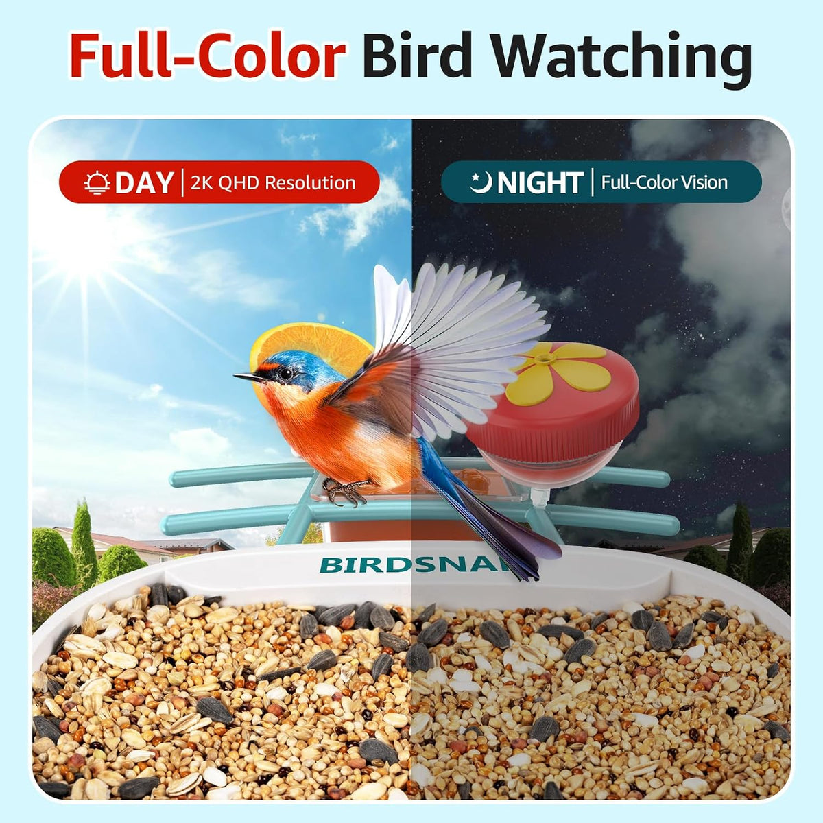 birdsnap® tuc bird feeder with camera solar powered showing dimensions