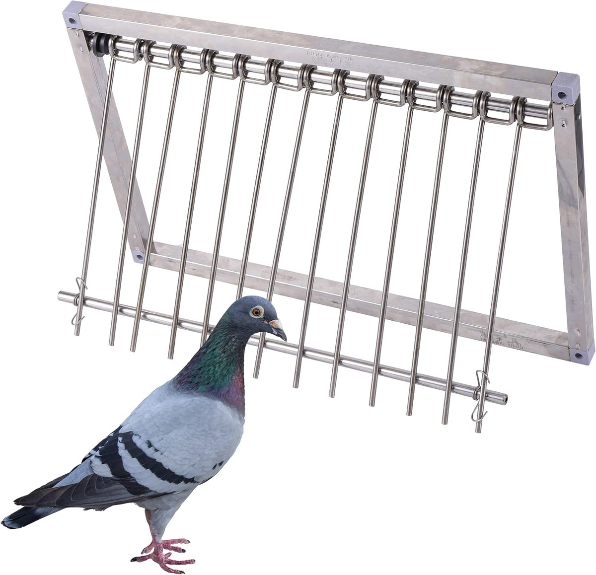 bird cages pigeon trap door stainless steel wire, side view