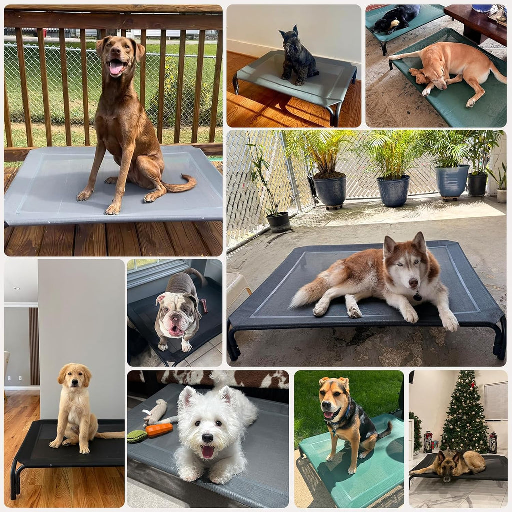 elevated dog bed raised outdoor dog cot for on a desk or shelf