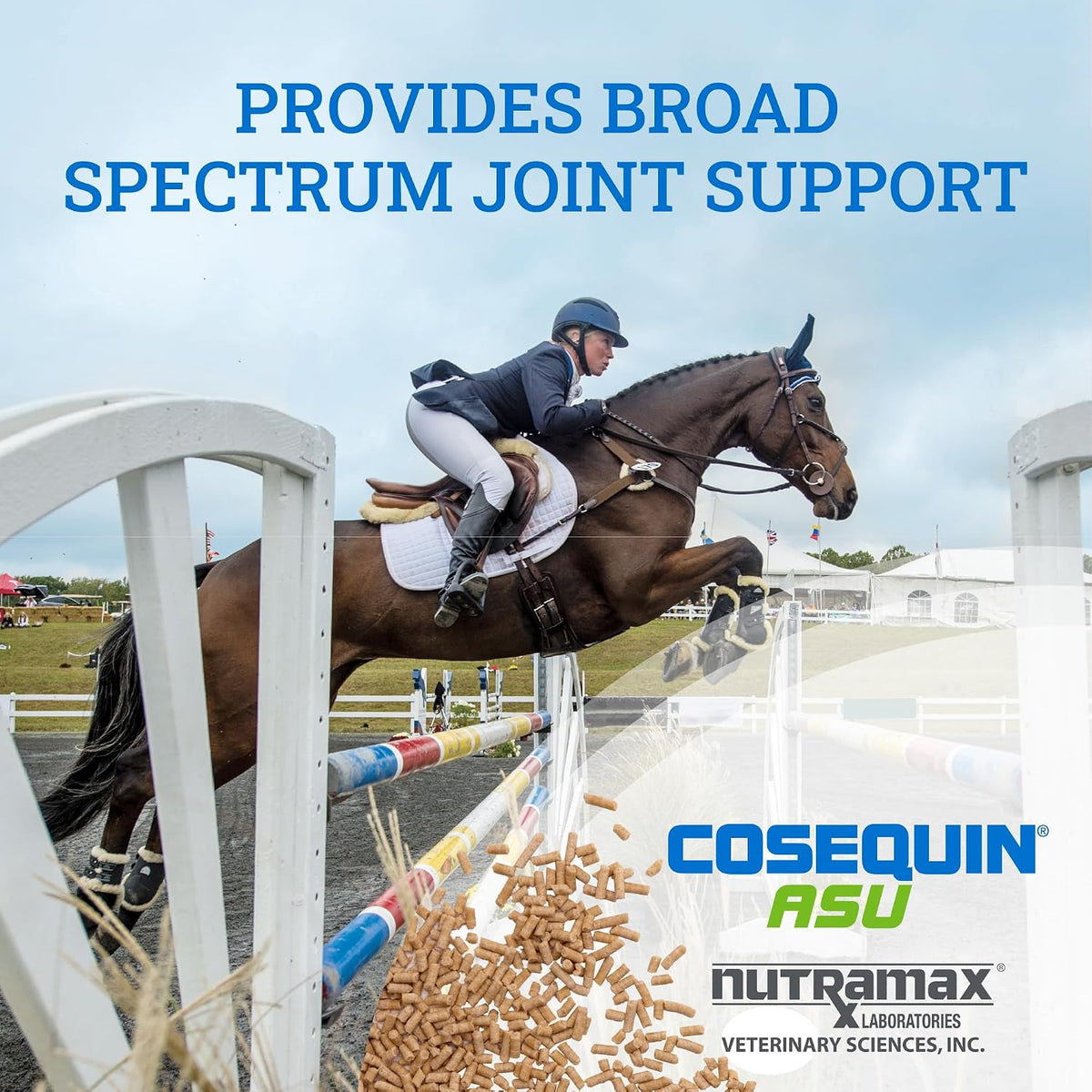 nutramax cosequin asu horse joint supplement + glucosamine, close-up detail
