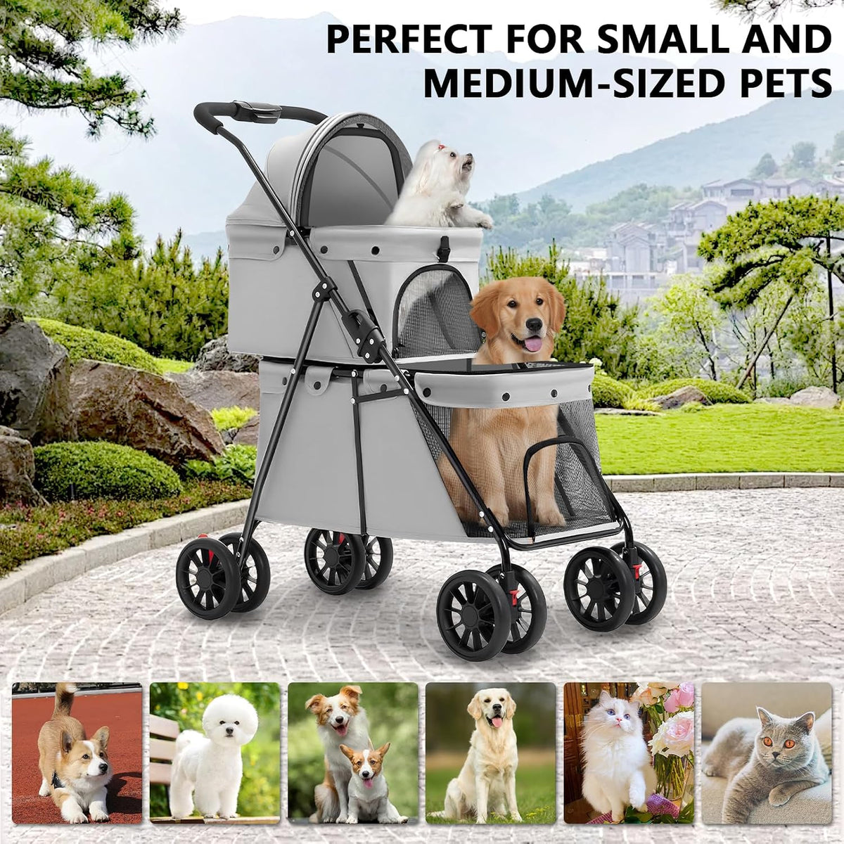 double pet stroller for medium small dogs and on a desk or shelf
