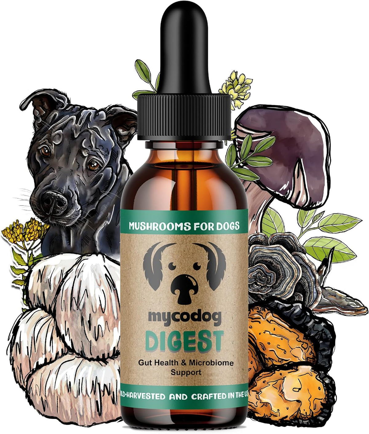 mycodog digest, digestive mushroom supplement for dogs for, main product view