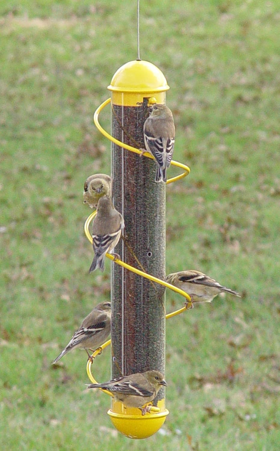 bird quest sbf2y 17" spiral thistle bird feeder shown in use