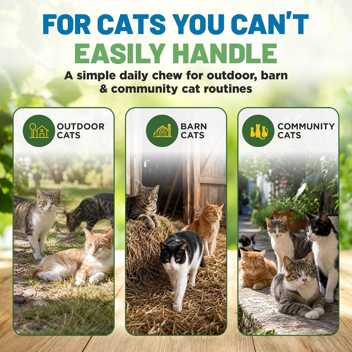 guardian's choice flea chews for cats, flea & showing dimensions