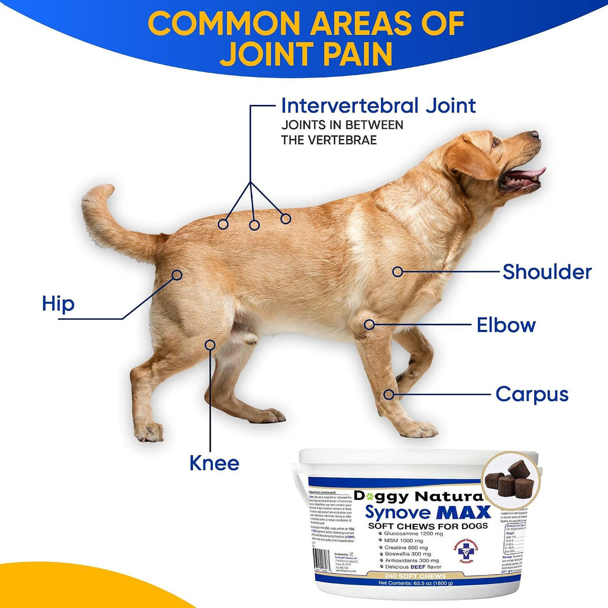 synove max soft chews for dogs (240 count), side view