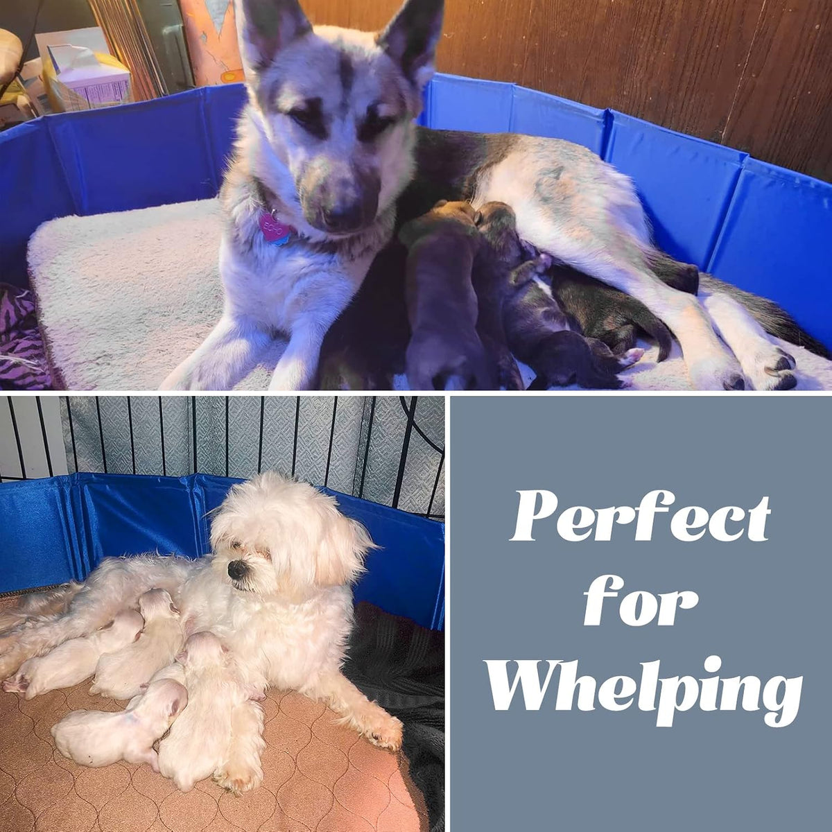 artilife foldable whelping box dogs&puppies, easy clean no shown in use