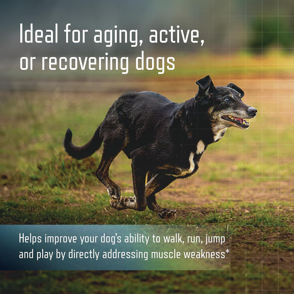 virbac ursolyx soft chews for dogs | muscle, side view