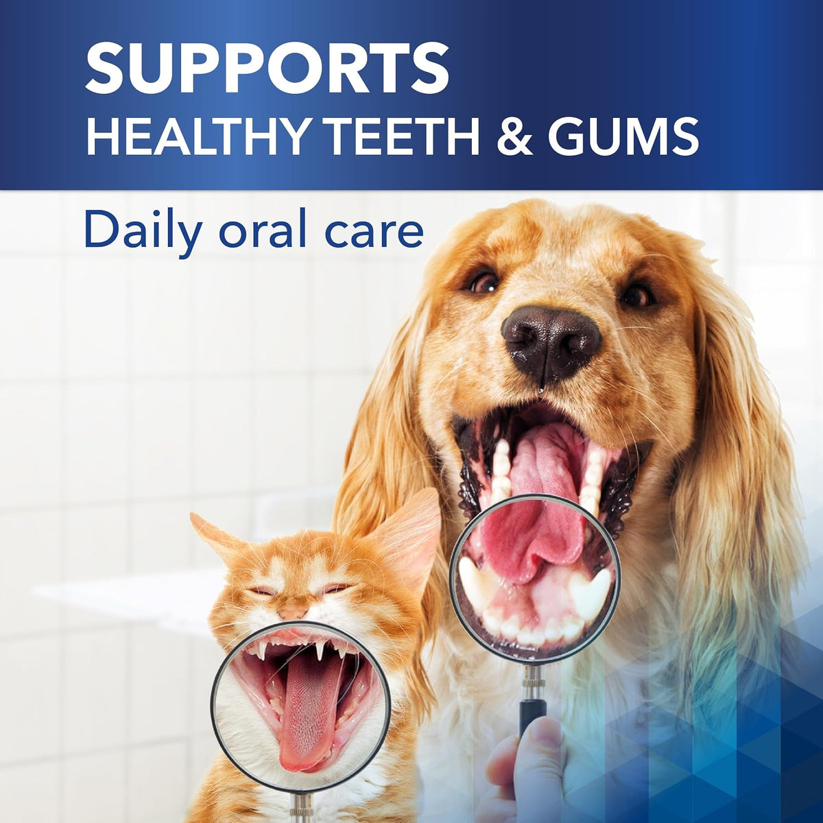 clenz-a-dent proden plaqueoff oral health flakes for dogs, close-up detail
