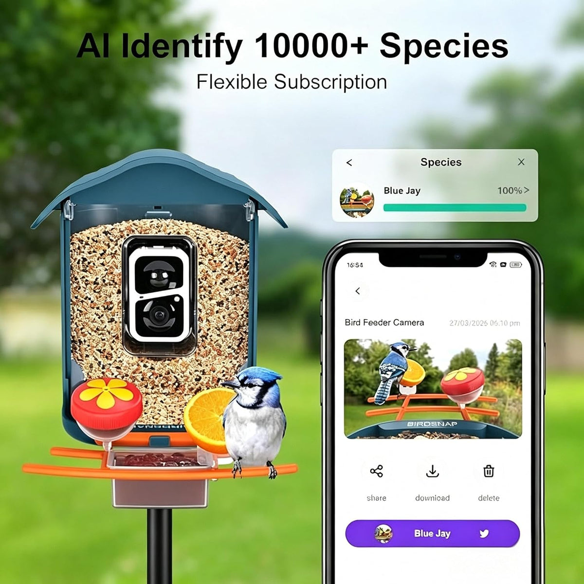 birdsnap® smart bird feeder with camera, solar powered shown in use