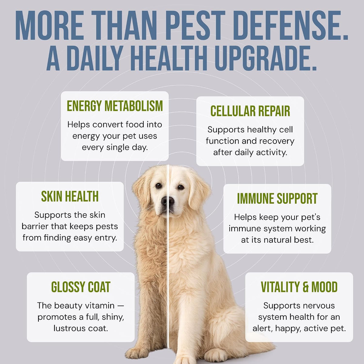 shield chews - natural flea & tick prevention, side view