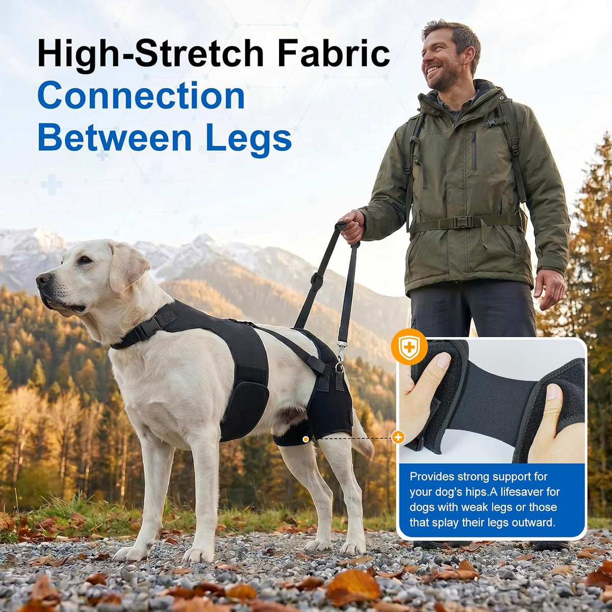 supet dog hip dysplasia brace with back lift, close-up detail