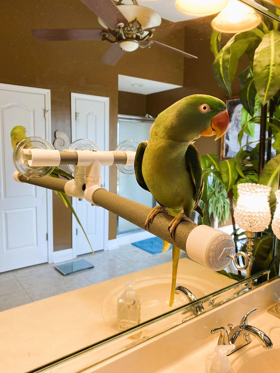 polly's portable window-shower perch with suction cups for, side view