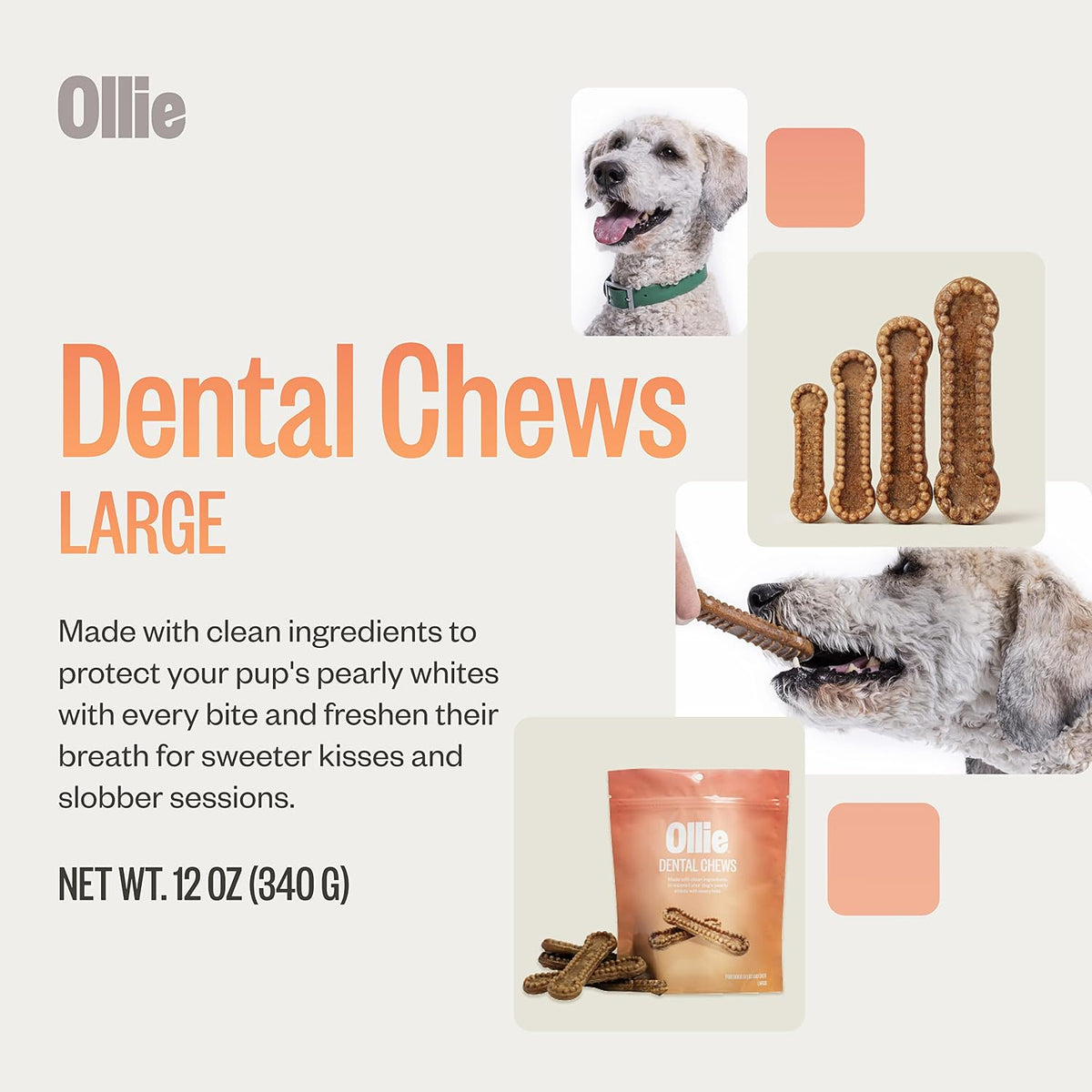 ollie dental chews for large dogs, 12 oz, close-up detail