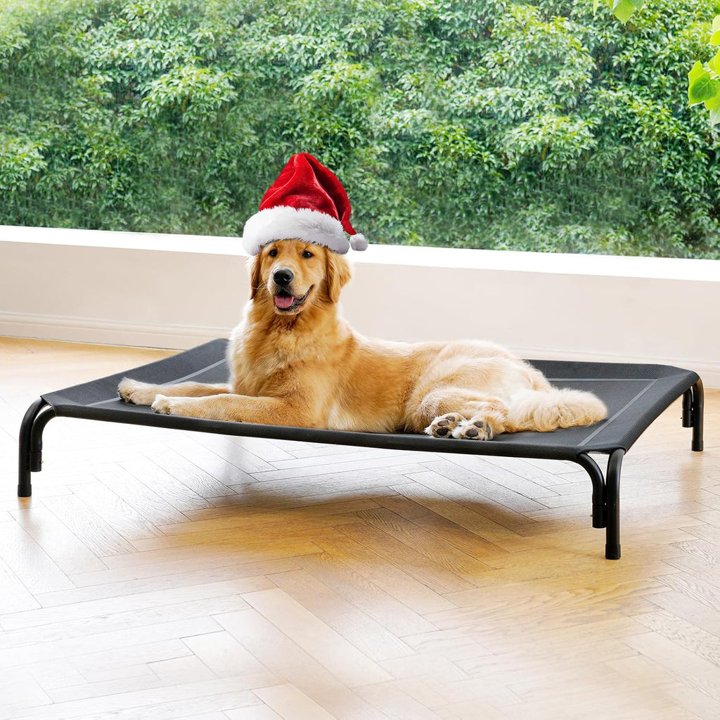 elevated dog bed raised outdoor dog cot for, main product view