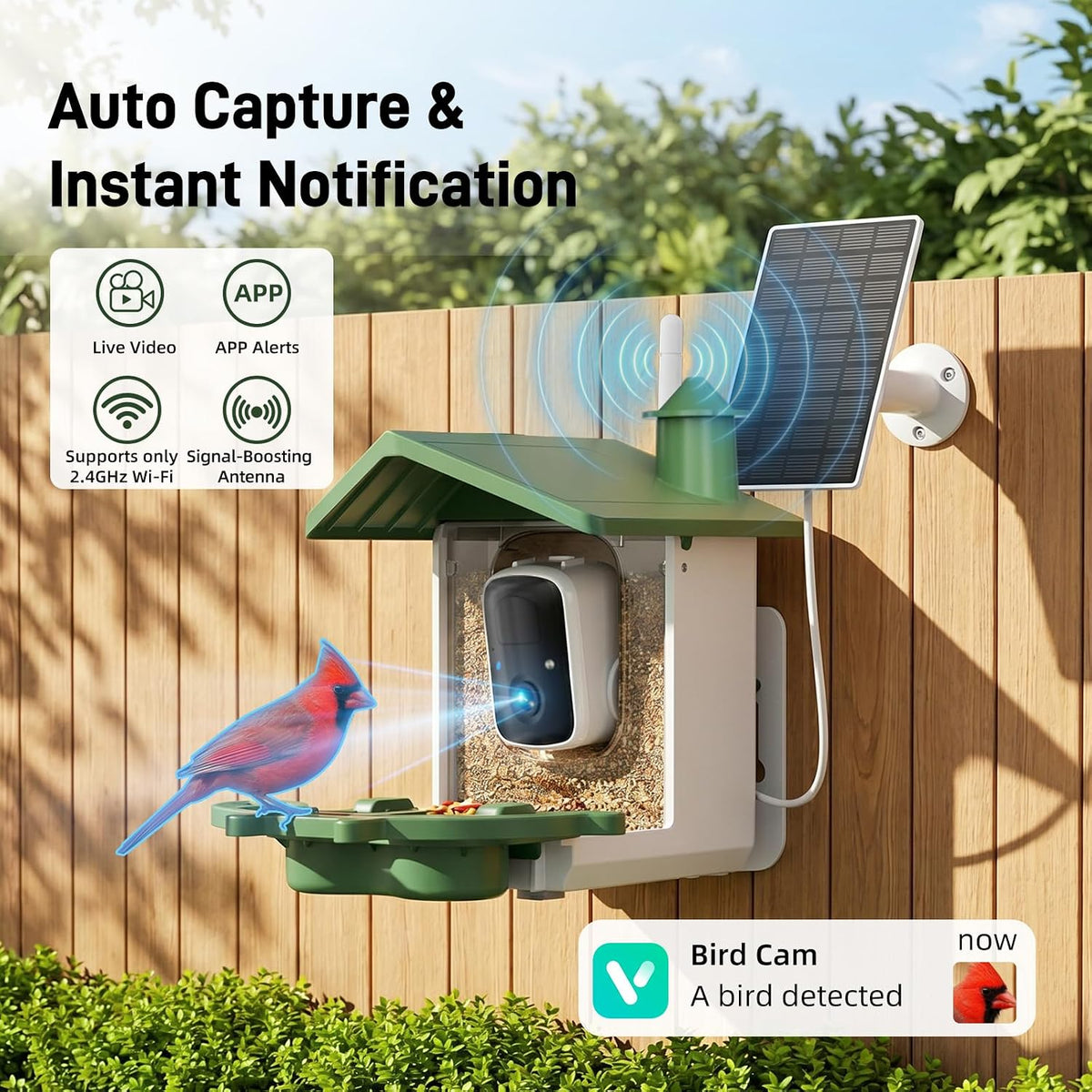bird feeder with camera, 2k hd video bird, side view