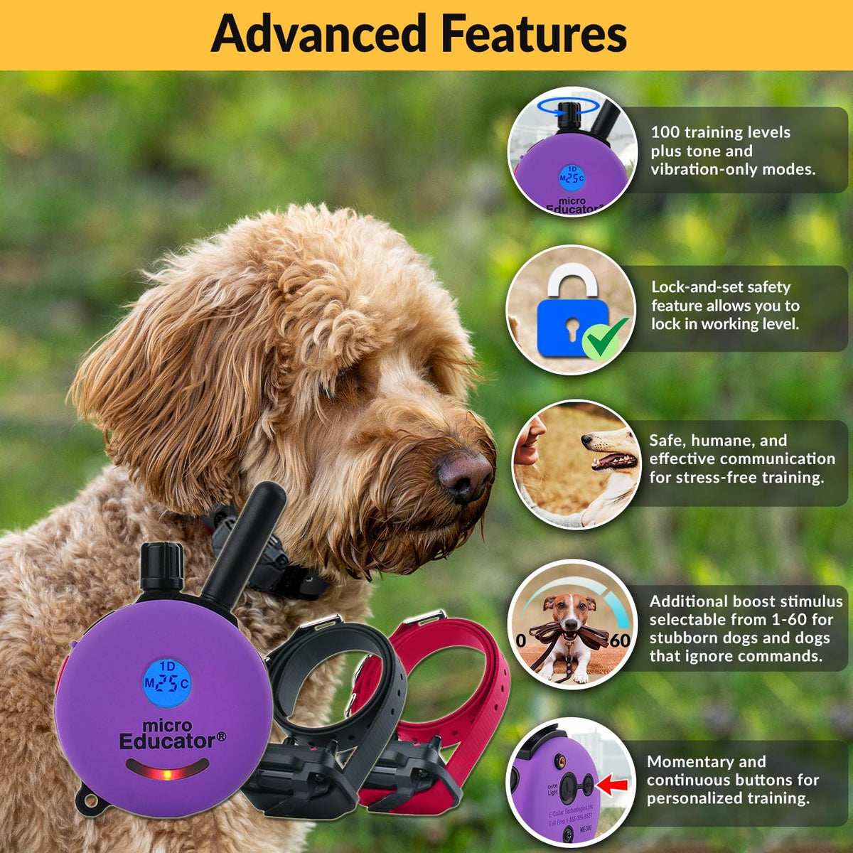 e-collar micro educator me-302 dog training collar with shown in use