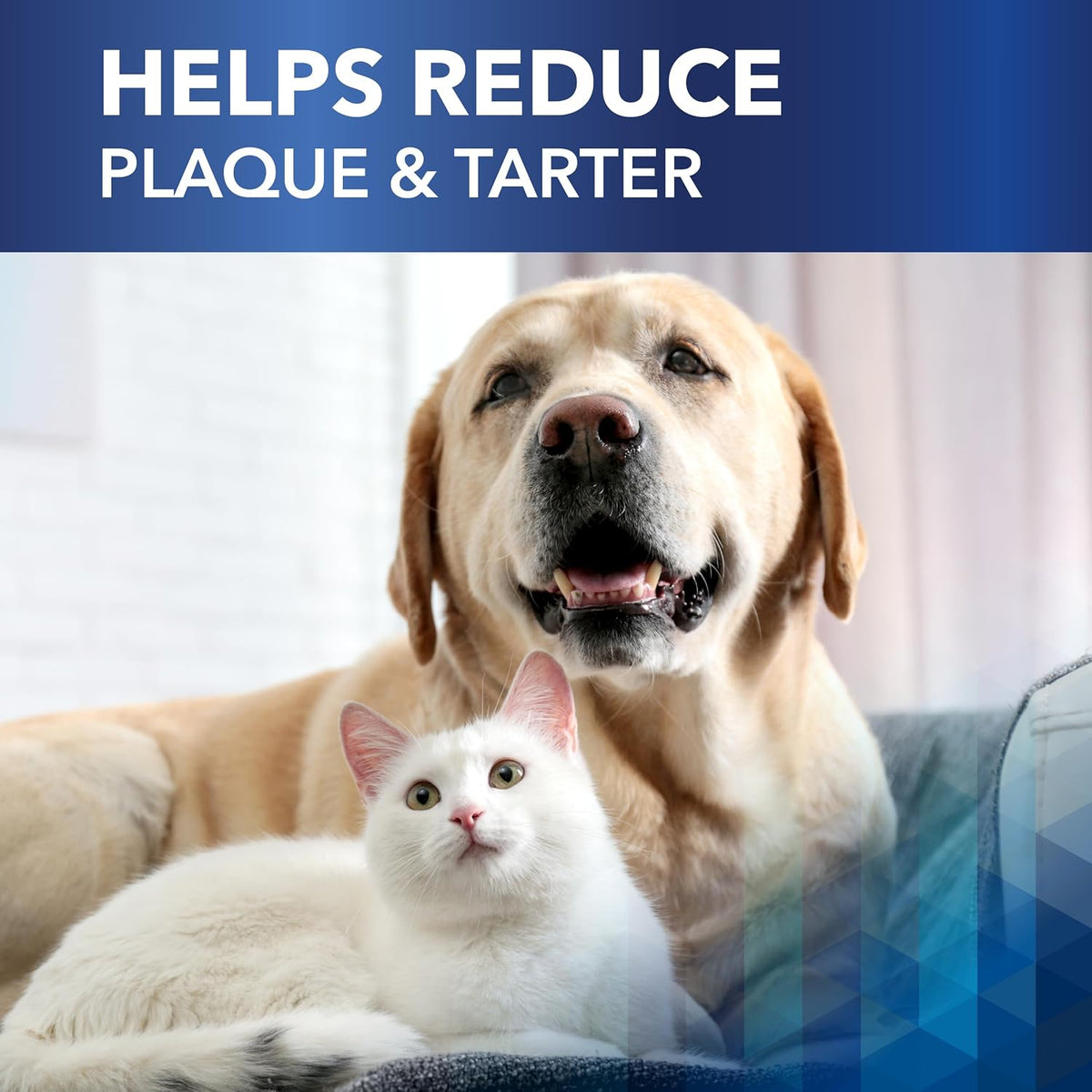 clenz-a-dent proden plaqueoff oral health flakes for dogs shown in use