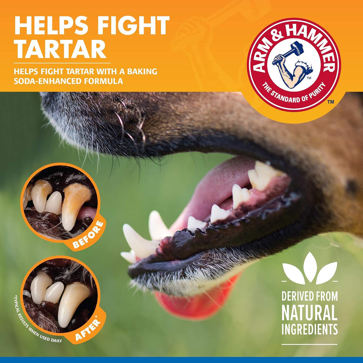 arm & hammer clinical care dental rinse for, close-up detail