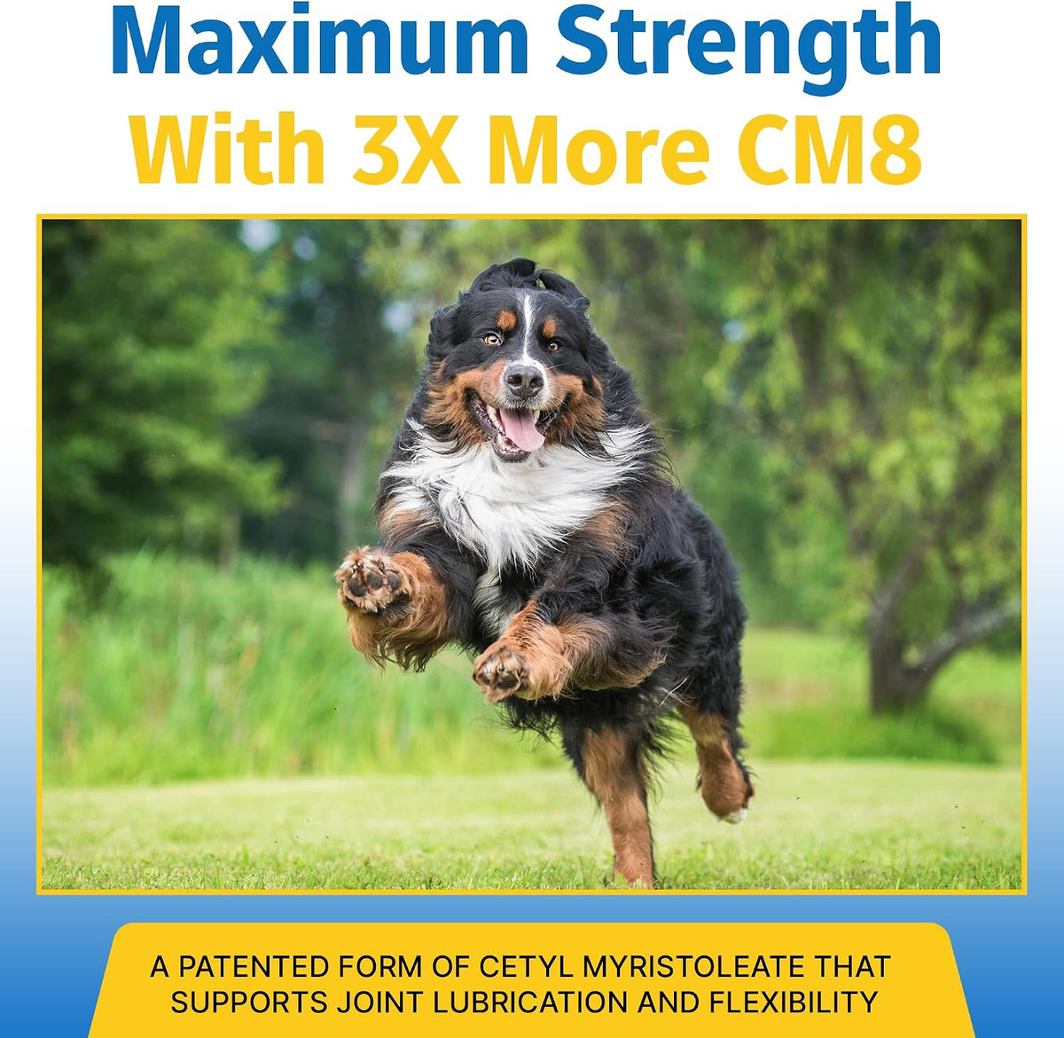 hip & joint supplement for dogs & cats, side view