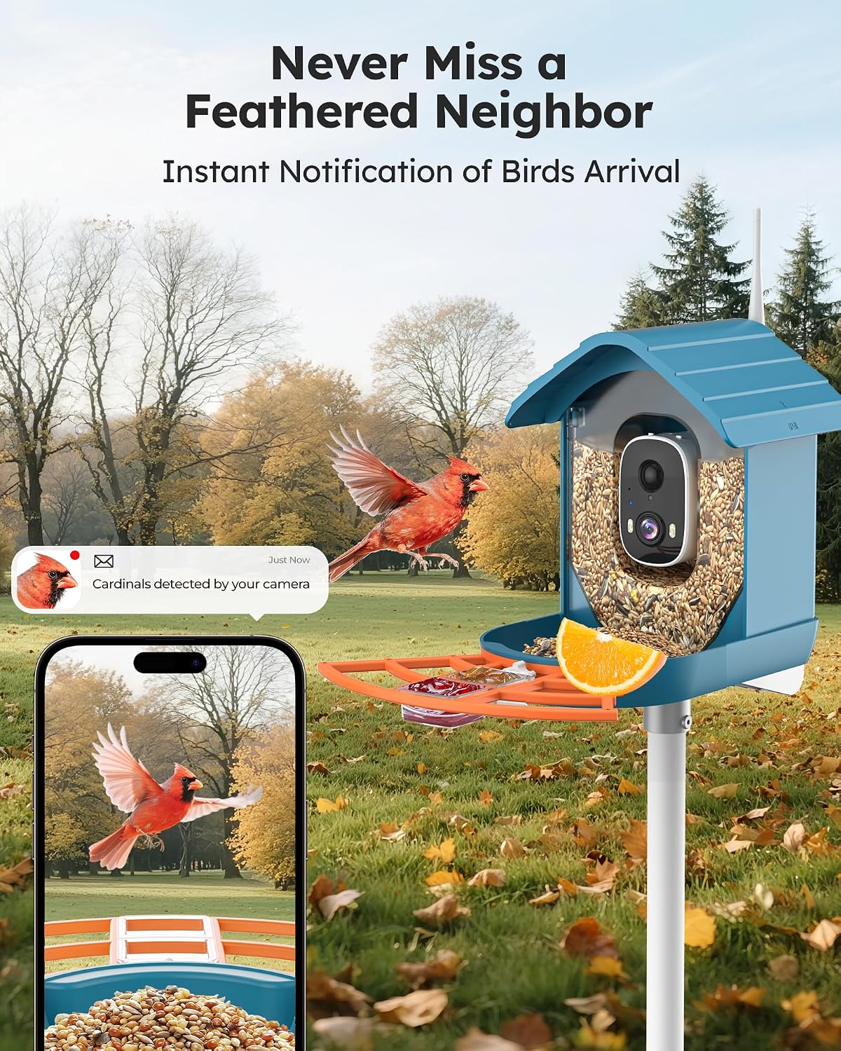 smart bird feeder with camera solar powered for shown in use