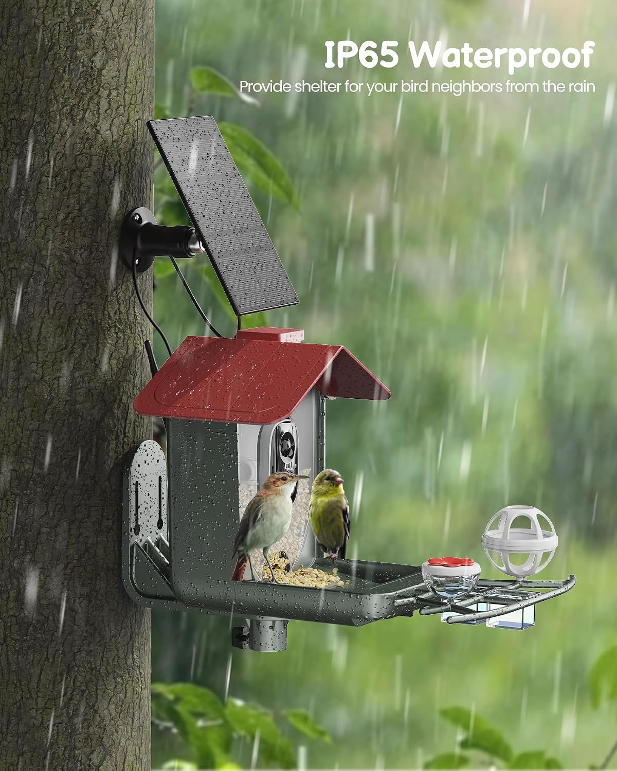 smart bird feeder with camera outdoor: solar birdfeeder, side view