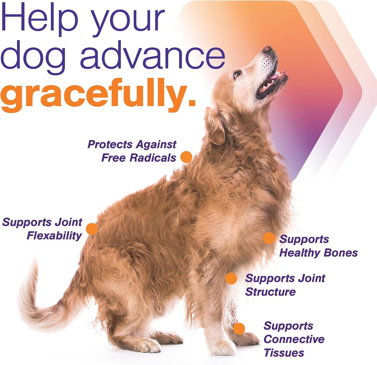 movoflex advanced soft chews hip and joint support showing dimensions