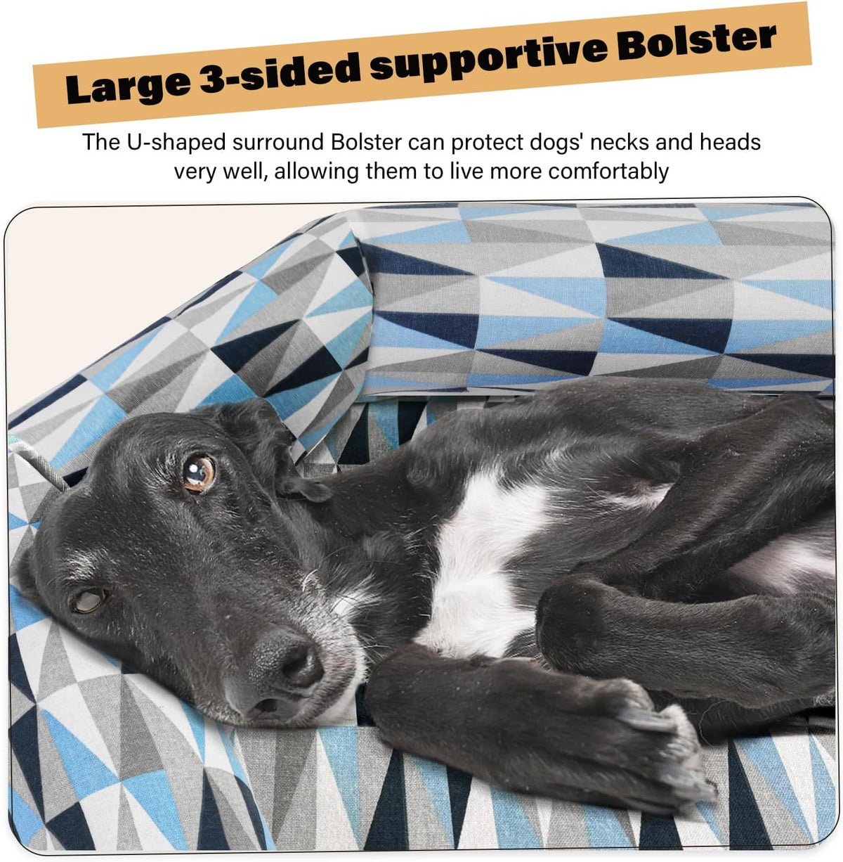 elevated dog bed with bolster, raised cooling orthopedic shown in use
