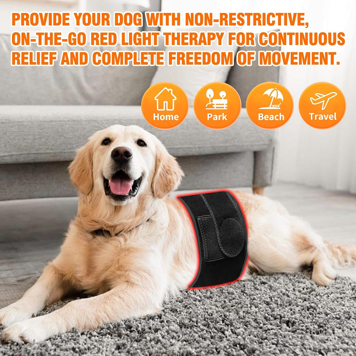 professional red light therapy belt for dogs, close-up detail