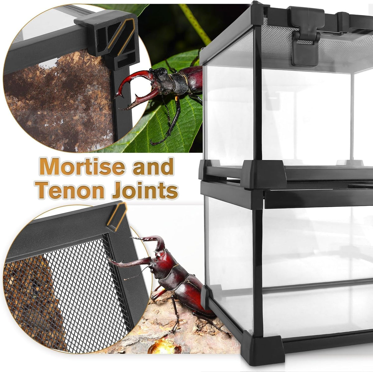 12"x8"x8" reptile terrarium, escape-proof glass terrestrial vivarium for showing dimensions